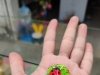 测试手机版……